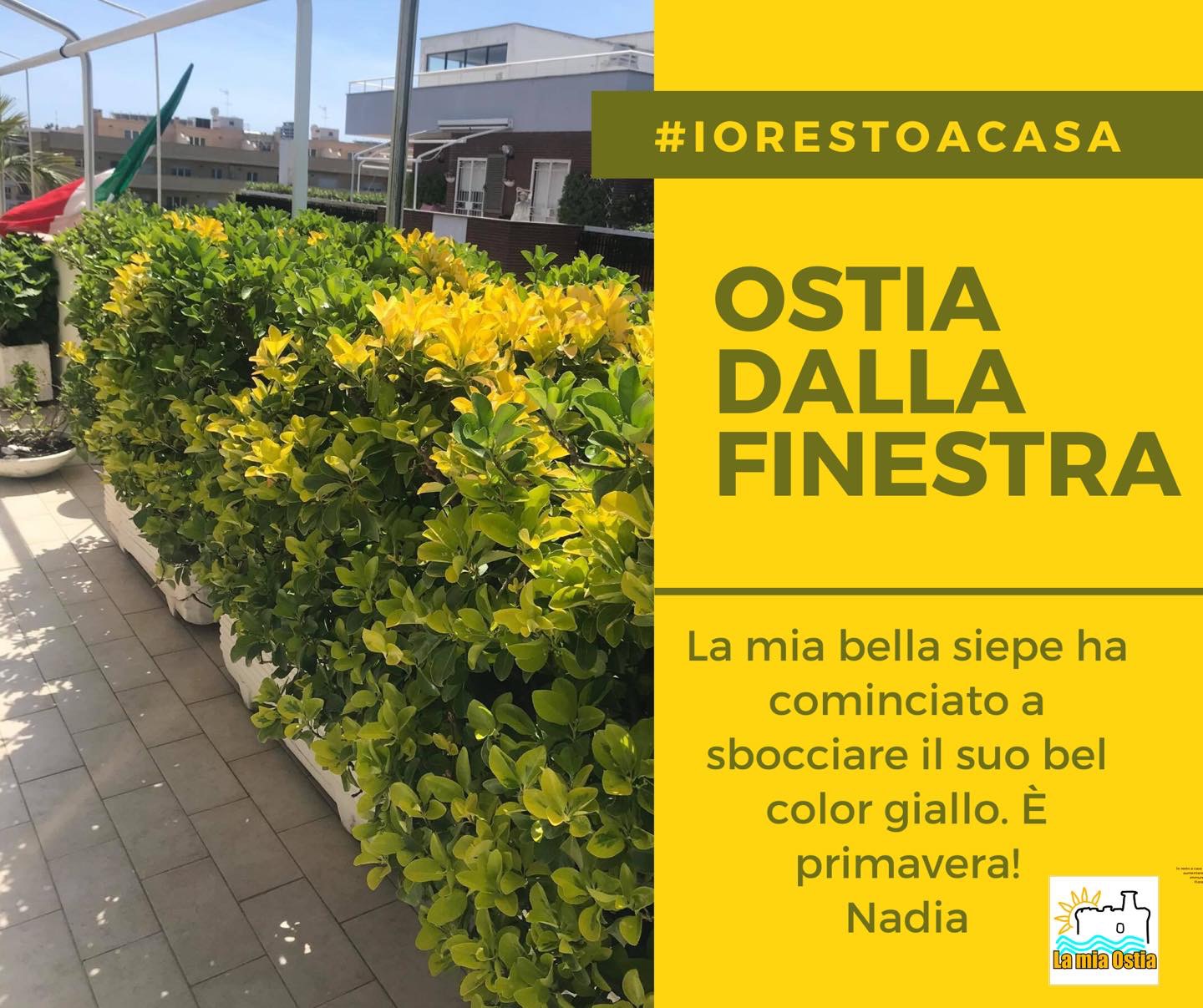 Ostia dalla finestra: mese di maggio